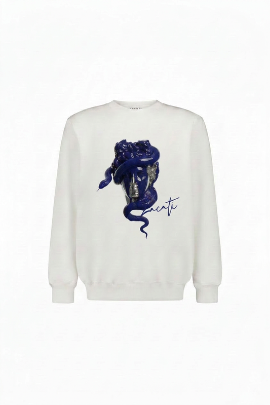 Graphic Printed Cotton Sweater