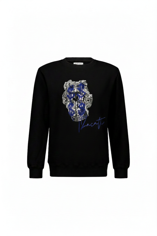 Graphic Printed Cotton Sweater