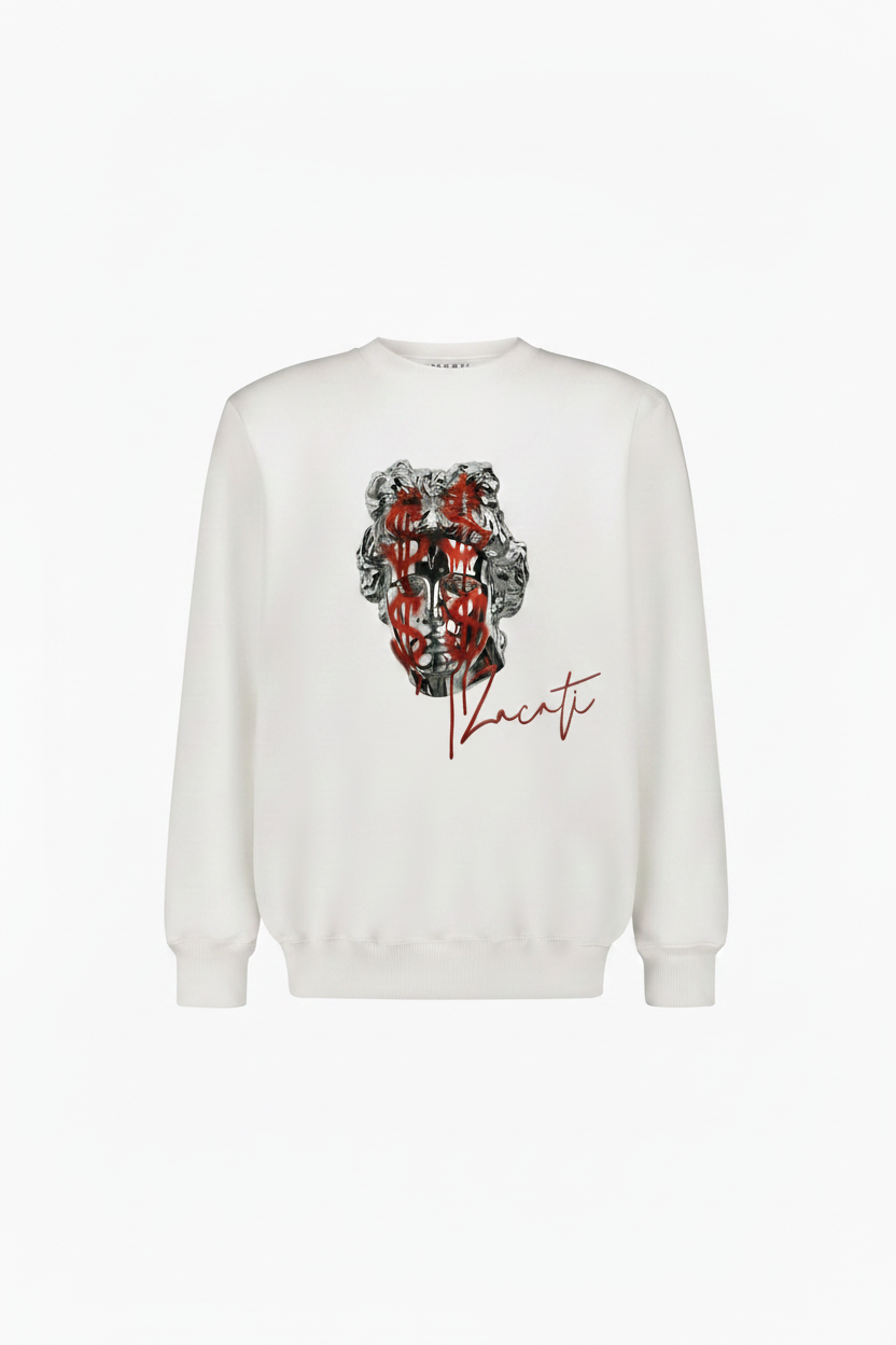 Graphic Printed Cotton Sweater